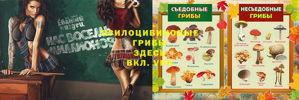 MESCALINE Михайлов